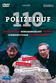 Телефон полиции — 110 (1971)