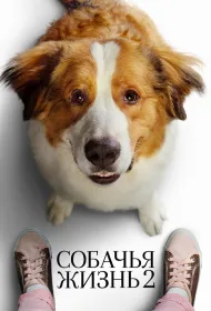 Собачья жизнь 2 (2019)